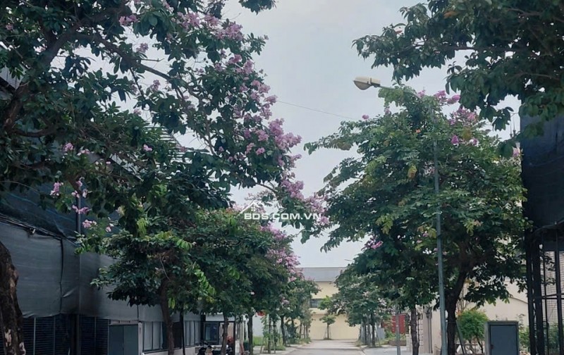 Bán Đất 250m2 Khu C - Khu đô thị Nguyên Khê - Đông Anh - Hà Nội. Giá 105tr/m2
