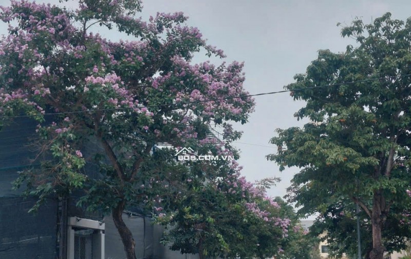 Bán Đất 250m2 Khu C - Khu đô thị Nguyên Khê - Đông Anh - Hà Nội. Giá 105tr/m2
