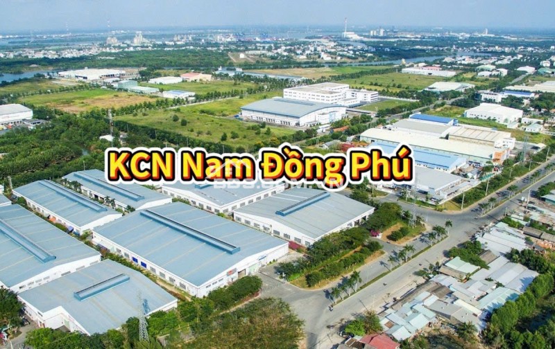 BÁN ĐẤT TÂN LỢI ĐỒNG PHÚ - FULL THỔ CƯ - SHR - GIÁ CHỈ 350TR/LÔ. LH:0363082064.