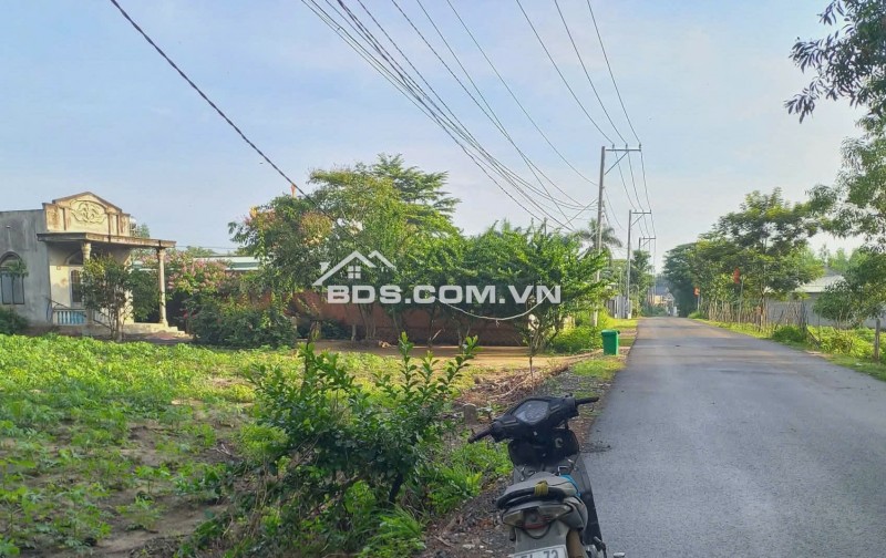 CHÍNH CHỦ CẦN BÁN LÔ ĐẤT THỔ CƯ 1976m2 ĐẦU TƯ SINH LỜI