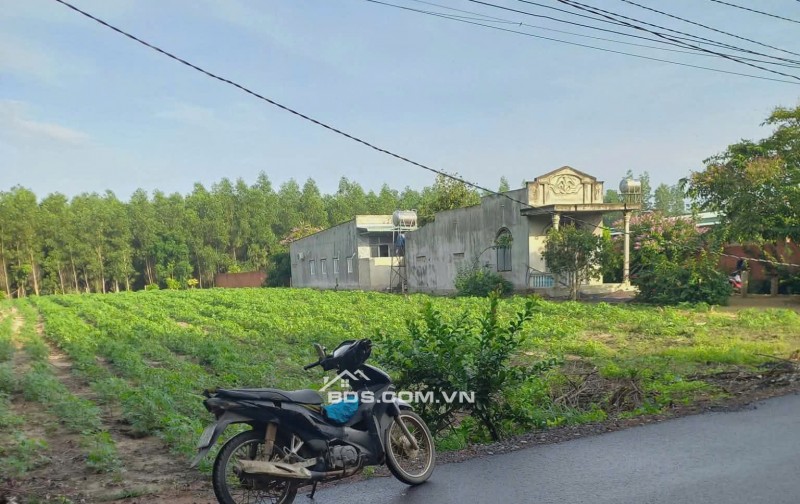 CHÍNH CHỦ CẦN BÁN LÔ ĐẤT THỔ CƯ 1976m2 ĐẦU TƯ SINH LỜI