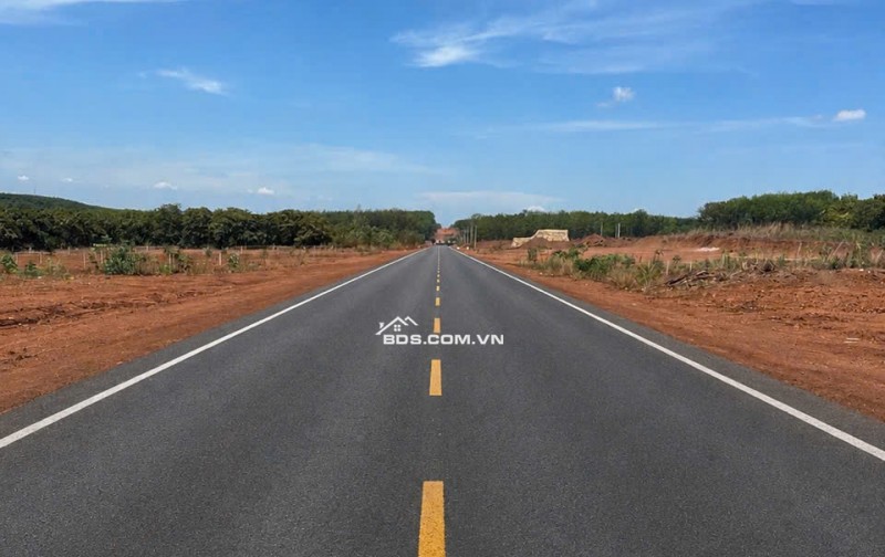 BÁN ĐẤT TÂN LỢI ĐỒNG PHÚ - FULL THỔ CƯ - SHR - GIÁ CHỈ 350TR/LÔ. LH:0363082064.