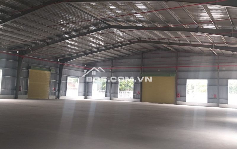 Cho thuê nhà xưởng lớn 5000m2 ở An Lão, trạm điện riêng, PCCC vách tường