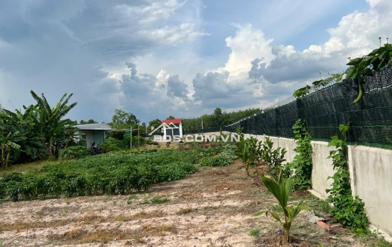 Đất bán ngang 23m x dài 133m diện tích 3,044.60 m2,khu phố Lộc Vĩnh, Phường An Tịnh, Thị xã Trảng Bàng ( cũ), Tỉnh Tây Ninh