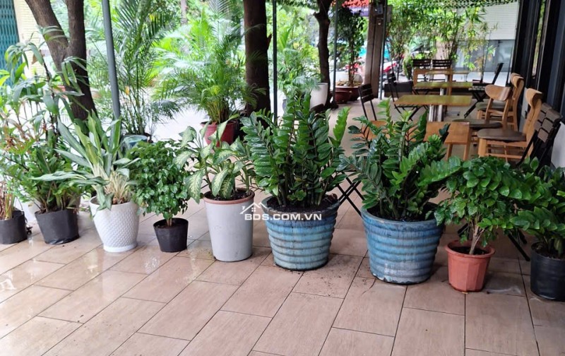 Bán nhà trệt MT kinh doanh Chung cư Thanh Niên P14 Q. Tân Bình