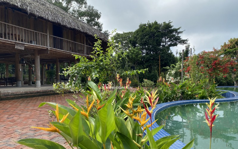 CHUYỂN NHƯỢNG HOẶC ĐẦU TƯ HỢP TÁC MÔ HÌNH HOMESTAY BÀ RỊA VŨNG TÀU
