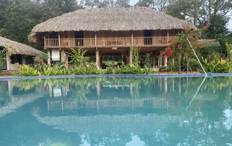 CHUYỂN NHƯỢNG HOẶC ĐẦU TƯ HỢP TÁC MÔ HÌNH HOMESTAY BÀ RỊA VŨNG TÀU