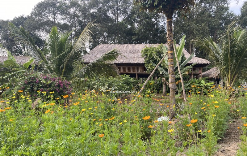 CHUYỂN NHƯỢNG HOẶC ĐẦU TƯ HỢP TÁC MÔ HÌNH HOMESTAY BÀ RỊA VŨNG TÀU