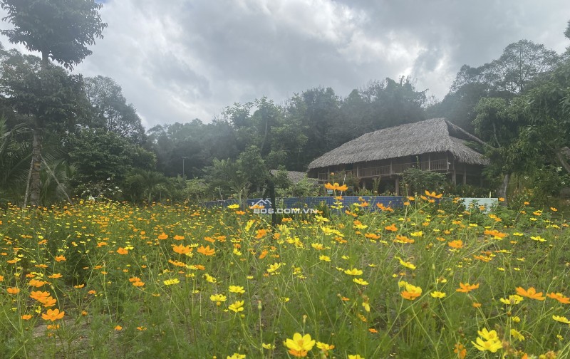 CHUYỂN NHƯỢNG HOẶC ĐẦU TƯ HỢP TÁC MÔ HÌNH HOMESTAY BÀ RỊA VŨNG TÀU