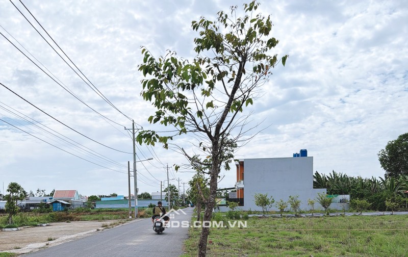 Đất trung tâm Thị Trấn Cần Đước - chỉ 200 ra chợ Cần Đước - UBND
