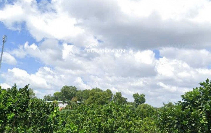 BÀ CÔ GỬI BÁN : MT ĐƯỜNG – TP. TÂN UYÊN, BÌNH DƯƠNG, CHỈ 8 TRIỆU/M2 TL 