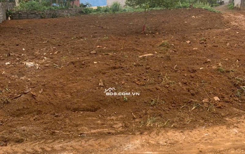 Bán đất Tân Vinh, Lương Sơn, Hoà Bình, giá rẻ chỉ 1,4 tỷ
