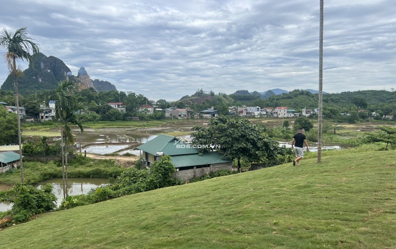 Bán đất Liên Sơn, Lương Sơn, Hoà Bình 1926m2 view cánh đồng siêu đẹp