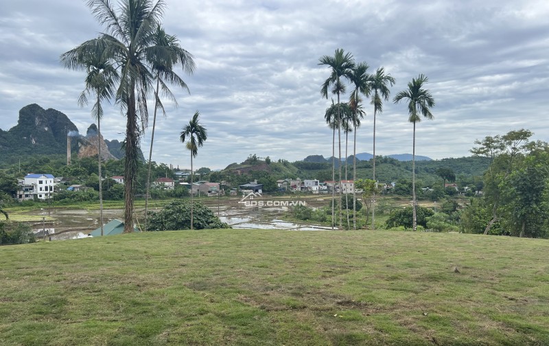 Bán đất Liên Sơn, Lương Sơn, Hoà Bình 1926m2 view cánh đồng siêu đẹp