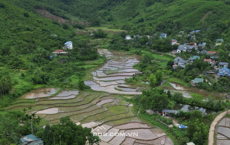 Bán đất Liên Sơn, Lương Sơn, Hoà Bình 1926m2 view cánh đồng siêu đẹp