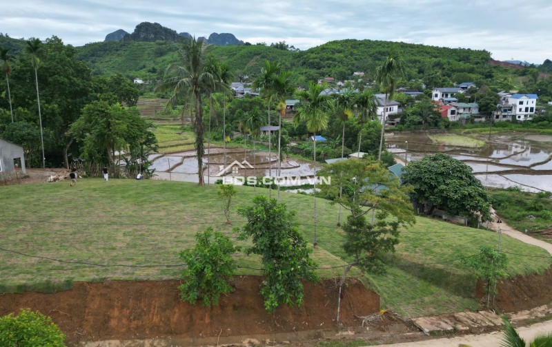 Bán đất Liên Sơn, Lương Sơn, Hoà Bình 1926m2 view cánh đồng siêu đẹp