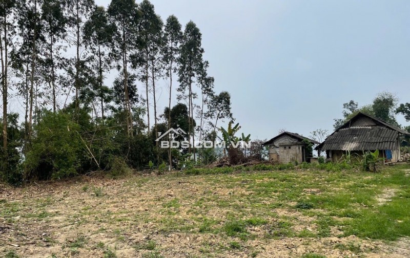 Cần bán gấp có 1.350m2 đất Homestay hồ Thác Bà - Yên Bái 1tỷ150
