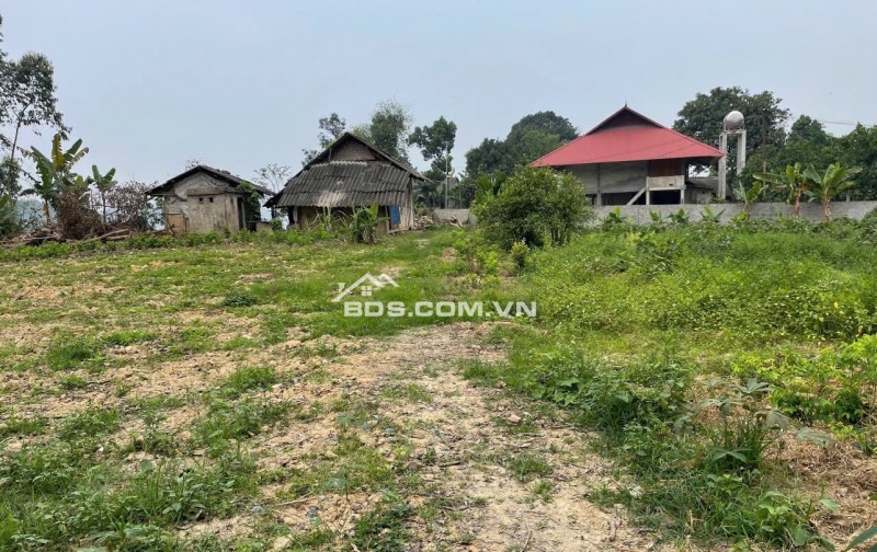 Cần bán gấp có 1.350m2 đất Homestay hồ Thác Bà - Yên Bái 1tỷ150