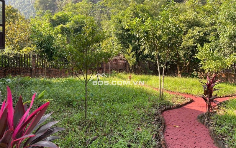 Cần bán gấp có 1.350m2 đất Homestay hồ Thác Bà - Yên Bái 1tỷ150