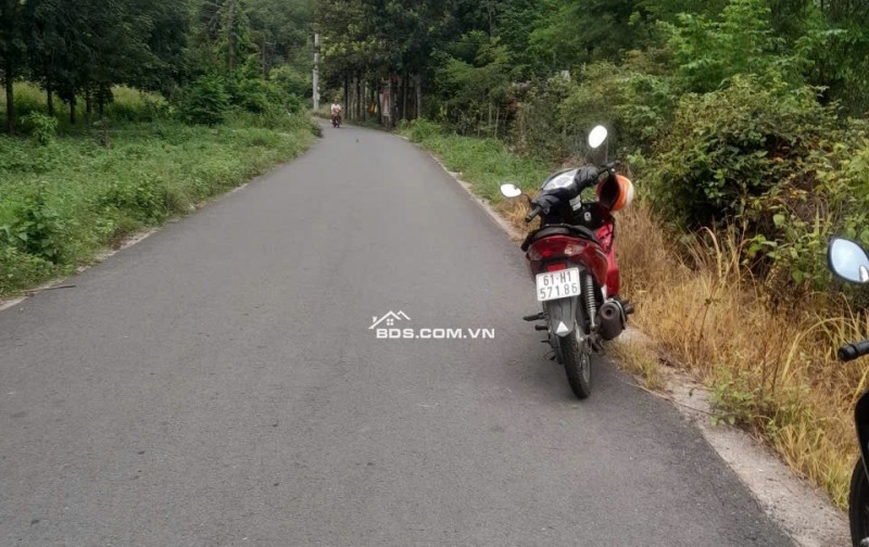 Bán đất xã Minh Thạnh - Thành phố Hồ Chí Minh -----
