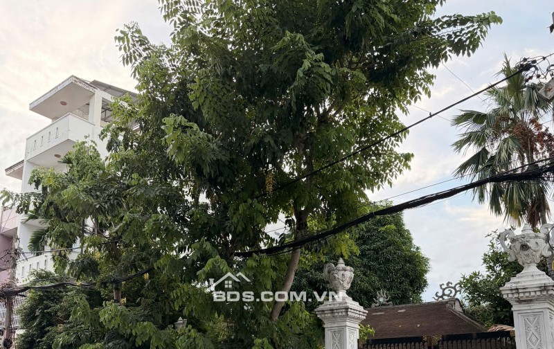Đường số 24 khu Bình Phú P11 Q6 ( 20x25 ) 500m2 giá 54 tỷ có bớt