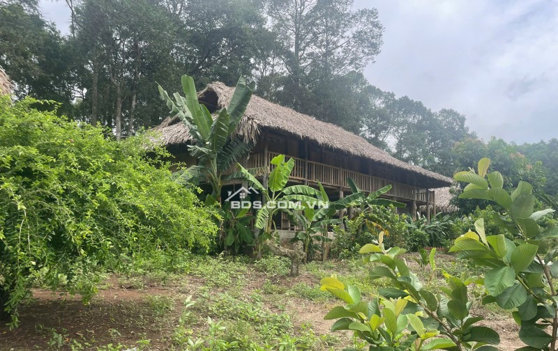 CHUYỂN NHƯỢNG HOẶC ĐẦU TƯ HỢP TÁC MÔ HÌNH HOMESTAY BÀ RỊA VŨNG TÀU