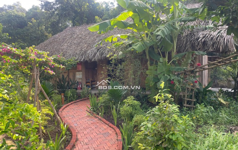 CHUYỂN NHƯỢNG HOẶC ĐẦU TƯ HỢP TÁC MÔ HÌNH HOMESTAY BÀ RỊA VŨNG TÀU