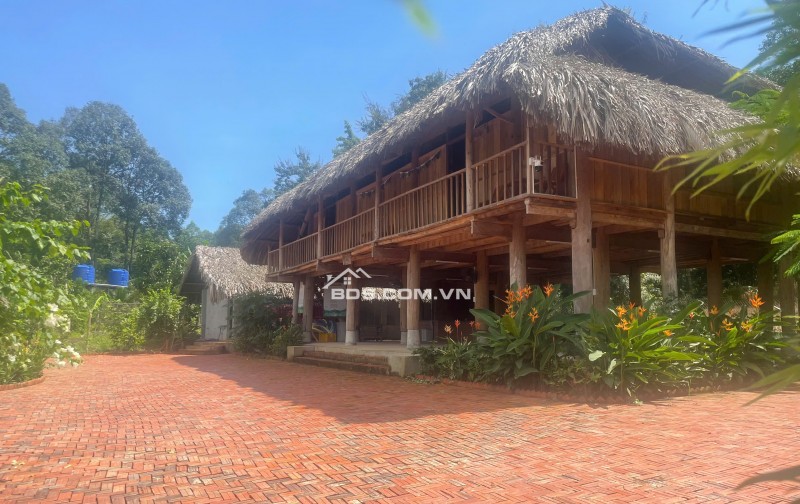 CHUYỂN NHƯỢNG HOẶC ĐẦU TƯ HỢP TÁC MÔ HÌNH HOMESTAY BÀ RỊA VŨNG TÀU