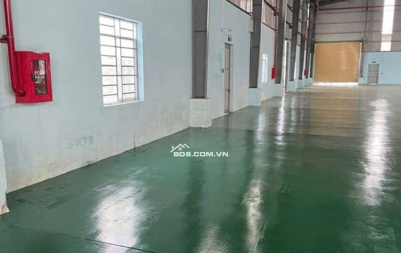 Kho xưởng dưới Đình Vũ 2500m2, PCCC tự động, làm được FDI, khuôn viên rộng 3ha
