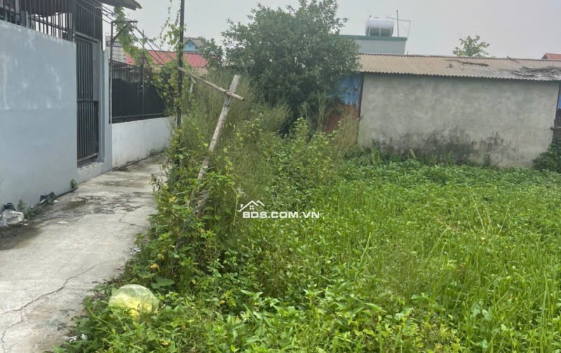 Bán đất chính chủ tại ngõ 18 thôn Siêu Quần xã Tả Thanh Oai, Thanh Trì
