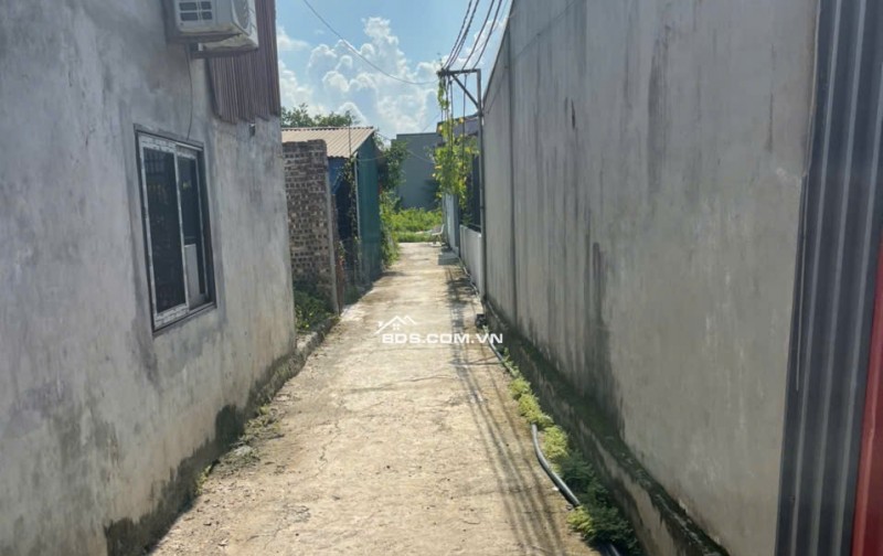 Bán đất chính chủ tại ngõ 18 thôn Siêu Quần xã Tả Thanh Oai, Thanh Trì