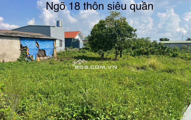Bán đất chính chủ tại ngõ 18 thôn Siêu Quần xã Tả Thanh Oai, Thanh Trì