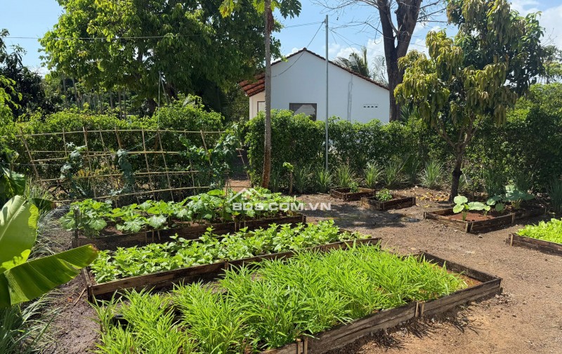 NHÀ VƯỜN GREENERY HOUSE LONG TÂN – BÀ RỊA VŨNG TÀU