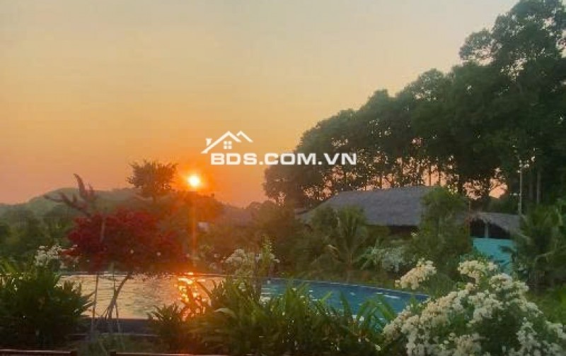 CHUYỂN NHƯỢNG HOẶC ĐẦU TƯ HỢP TÁC MÔ HÌNH HOMESTAY BÀ RỊA VŨNG TÀU