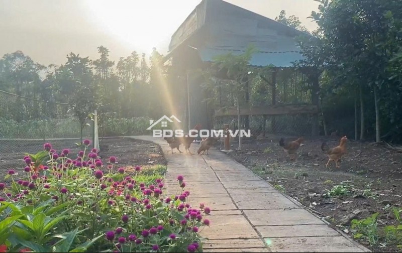 CHUYỂN NHƯỢNG HOẶC ĐẦU TƯ HỢP TÁC MÔ HÌNH HOMESTAY BÀ RỊA VŨNG TÀU