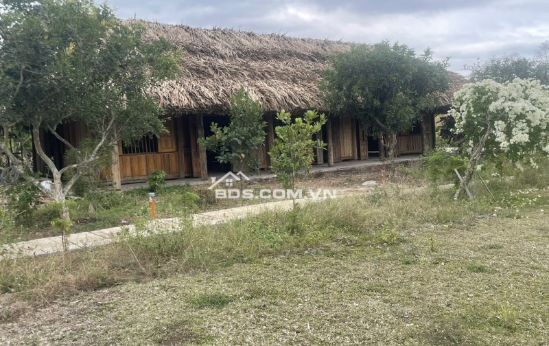 CHUYỂN NHƯỢNG HOẶC ĐẦU TƯ HỢP TÁC MÔ HÌNH HOMESTAY BÀ RỊA VŨNG TÀU