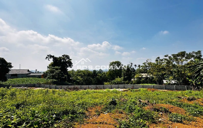 ÁN GẤP 2.000M² ĐẤT SÁT DỰ ÁN NHÀ Ở HÒA SƠN – GIÁ CỰC TỐT
