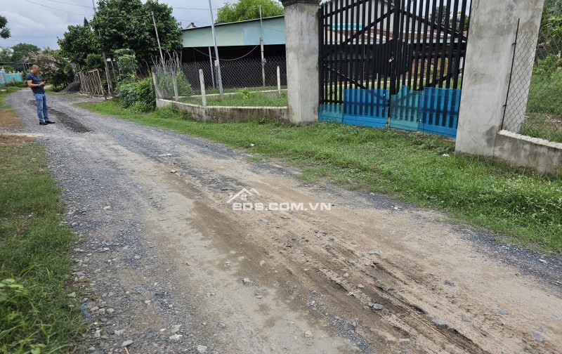 Bán lô đất 1250m² thổ cư 100m², đường xe tải vào tận nơi, sổ sẵn, chủ ngộp cần bán gấp