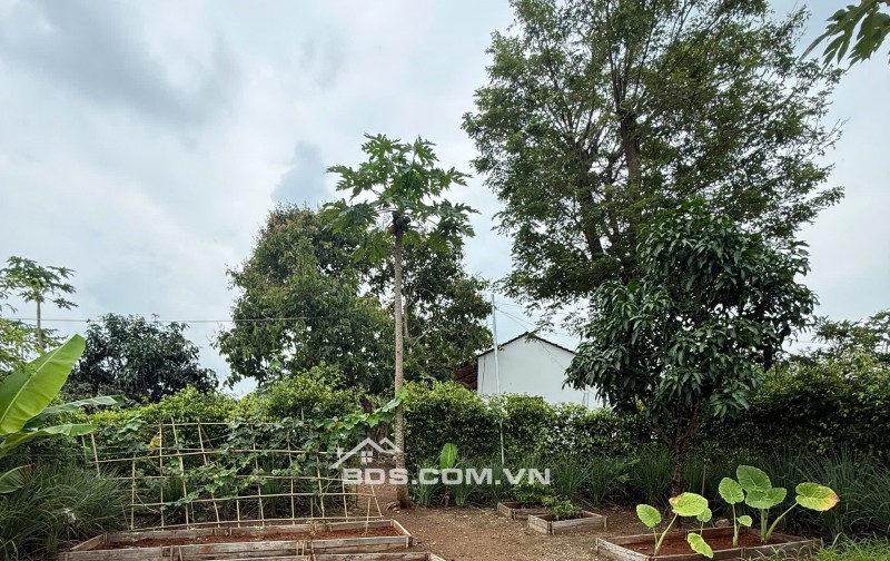 GREENERY HOUSE BÀ RỊA – CƠ HỘI SỞ HỮU NHÀ VƯỜN NGHỈ DƯỠNG CHỈ TỪ 3 TỶ ĐỒNG/LÔ