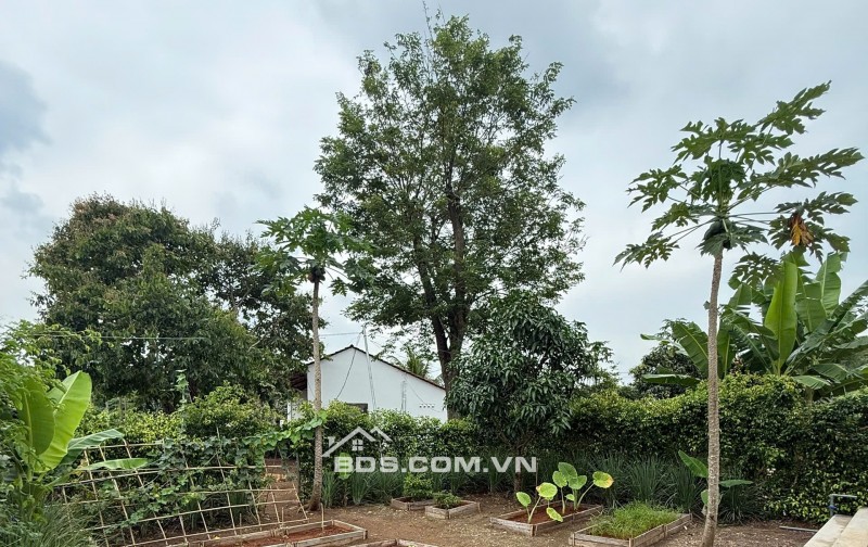 GREENERY HOUSE BÀ RỊA – CƠ HỘI SỞ HỮU NHÀ VƯỜN NGHỈ DƯỠNG CHỈ TỪ 3 TỶ ĐỒNG/LÔ