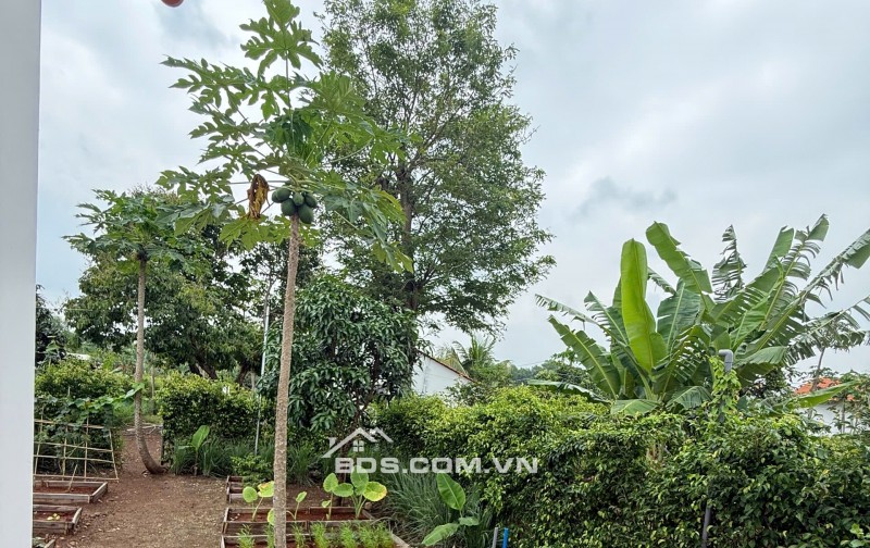 GREENERY HOUSE BÀ RỊA – CƠ HỘI SỞ HỮU NHÀ VƯỜN NGHỈ DƯỠNG CHỈ TỪ 3 TỶ ĐỒNG/LÔ