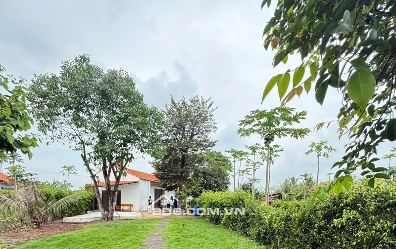 GREENERY HOUSE BÀ RỊA – CƠ HỘI SỞ HỮU NHÀ VƯỜN NGHỈ DƯỠNG CHỈ TỪ 3 TỶ ĐỒNG/LÔ