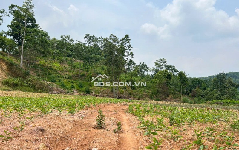 Bán Lô Đất 400m2 Thổ Cư Mặt Đường Quốc Lộ 1A, Minh Sơn, Hữu Lũng, Lạng Sơn.