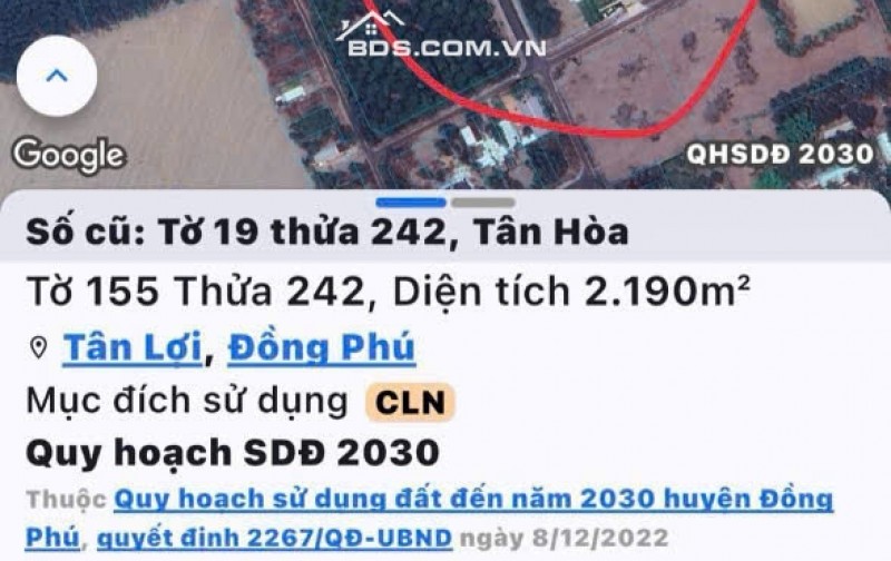 BÁN ĐẤT TÂN LỢI ĐỒNG PHÚ - FULL THỔ CƯ - SHR - GIÁ CHỈ 350TR/LÔ. LH:0363082064.