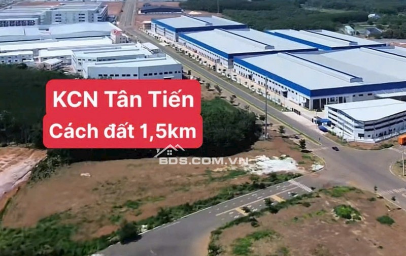 BÁN ĐẤT TÂN LỢI ĐỒNG PHÚ - FULL THỔ CƯ - SHR - GIÁ CHỈ 350TR/LÔ. LH:0363082064.