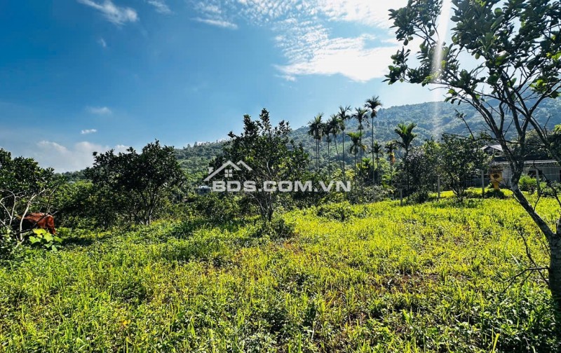 Lương Sơn Hòa Bình – Lô Đất Đẹp Thế Cao Thoáng, Đầu Tư Hay Nghỉ Dưỡng Đều Tuyệt