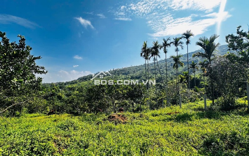Lương Sơn Hòa Bình – Lô Đất Đẹp Thế Cao Thoáng, Đầu Tư Hay Nghỉ Dưỡng Đều Tuyệt