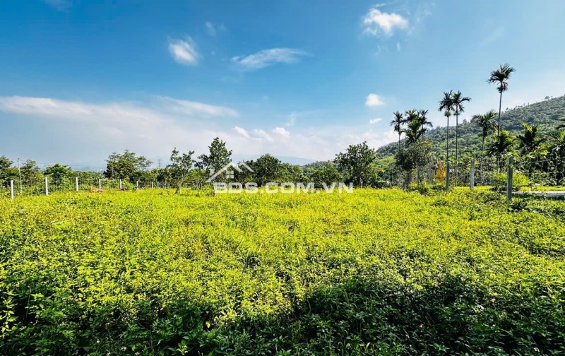 Lương Sơn Hòa Bình – Lô Đất Đẹp Thế Cao Thoáng, Đầu Tư Hay Nghỉ Dưỡng Đều Tuyệt