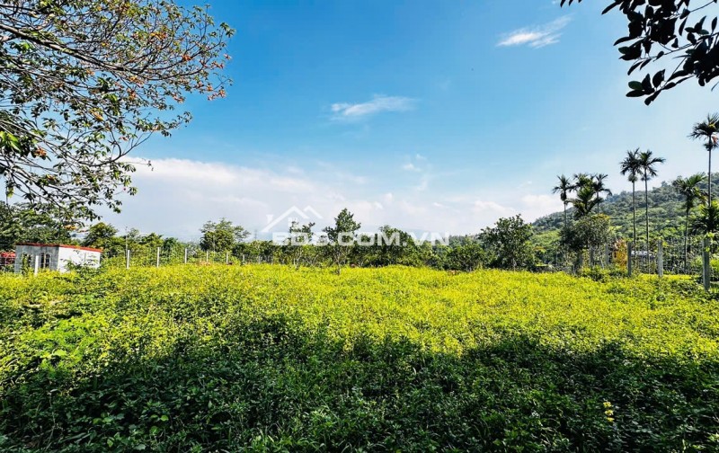 Lương Sơn Hòa Bình – Lô Đất Đẹp Thế Cao Thoáng, Đầu Tư Hay Nghỉ Dưỡng Đều Tuyệt