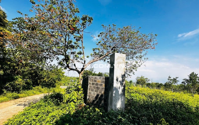 Lương Sơn Hòa Bình – Lô Đất Đẹp Thế Cao Thoáng, Đầu Tư Hay Nghỉ Dưỡng Đều Tuyệt